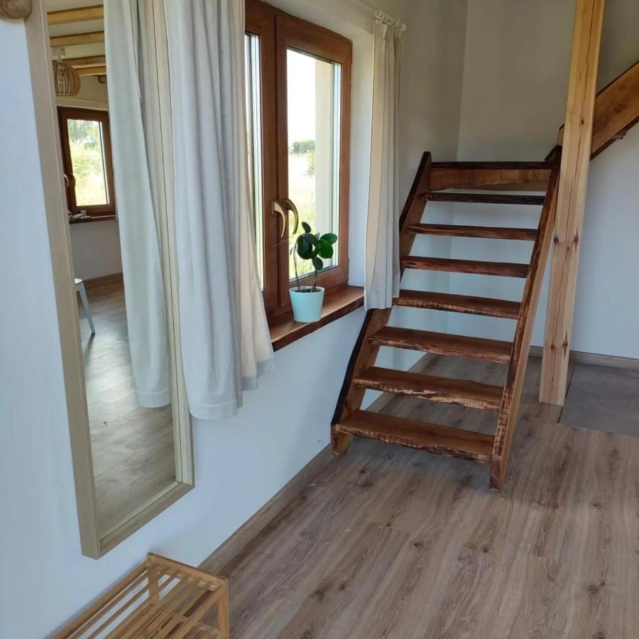 Leszczynowe Zacisze Vila Wiele Exterior foto