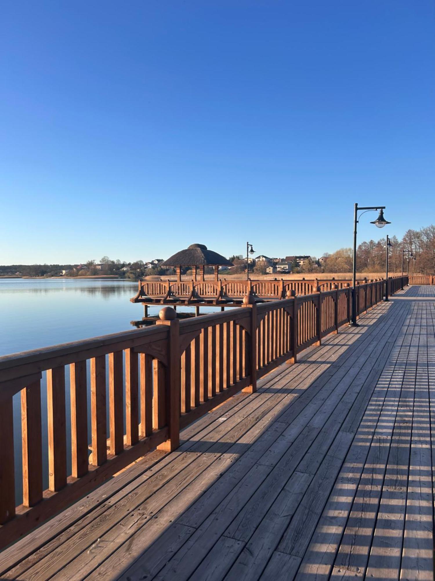 Leszczynowe Zacisze Vila Wiele Exterior foto
